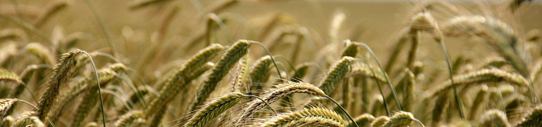 Connecting business – punem oamenii, lucrurile in legatura