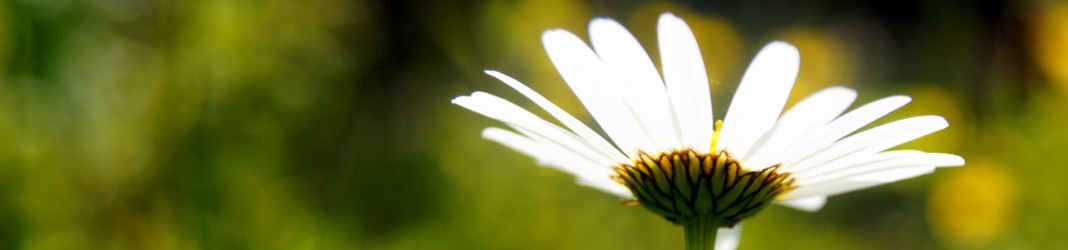 Connecting business – punem oamenii, lucrurile in legatura